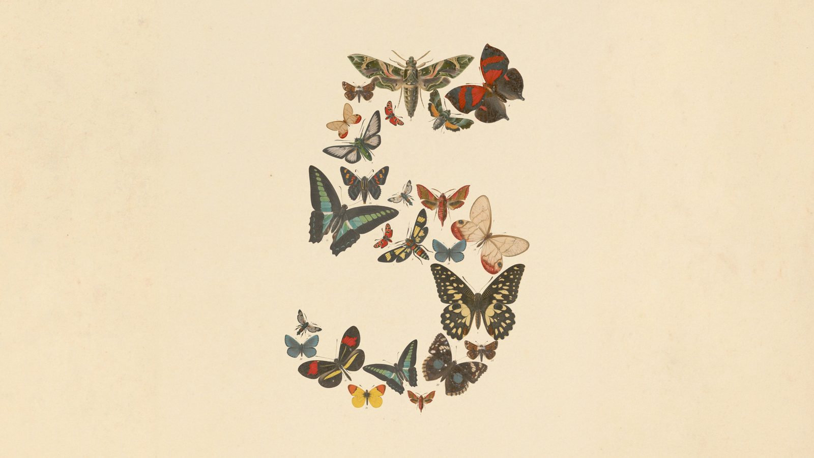 Anthropic's announcement artwork for Claude Fable 5 and Claude Mythos 5