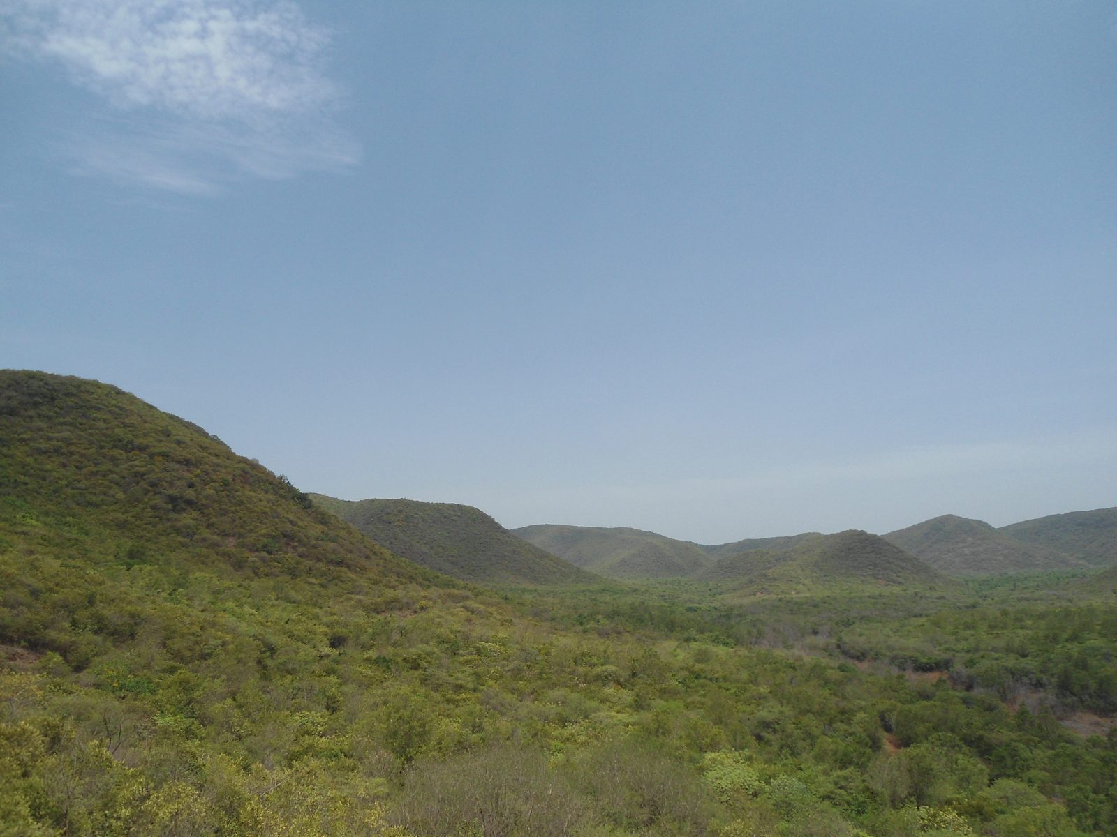 Wooded hills of the Kambalakonda Wildlife Sanctuary near Visakhapatnam, Andhra Pradesh.