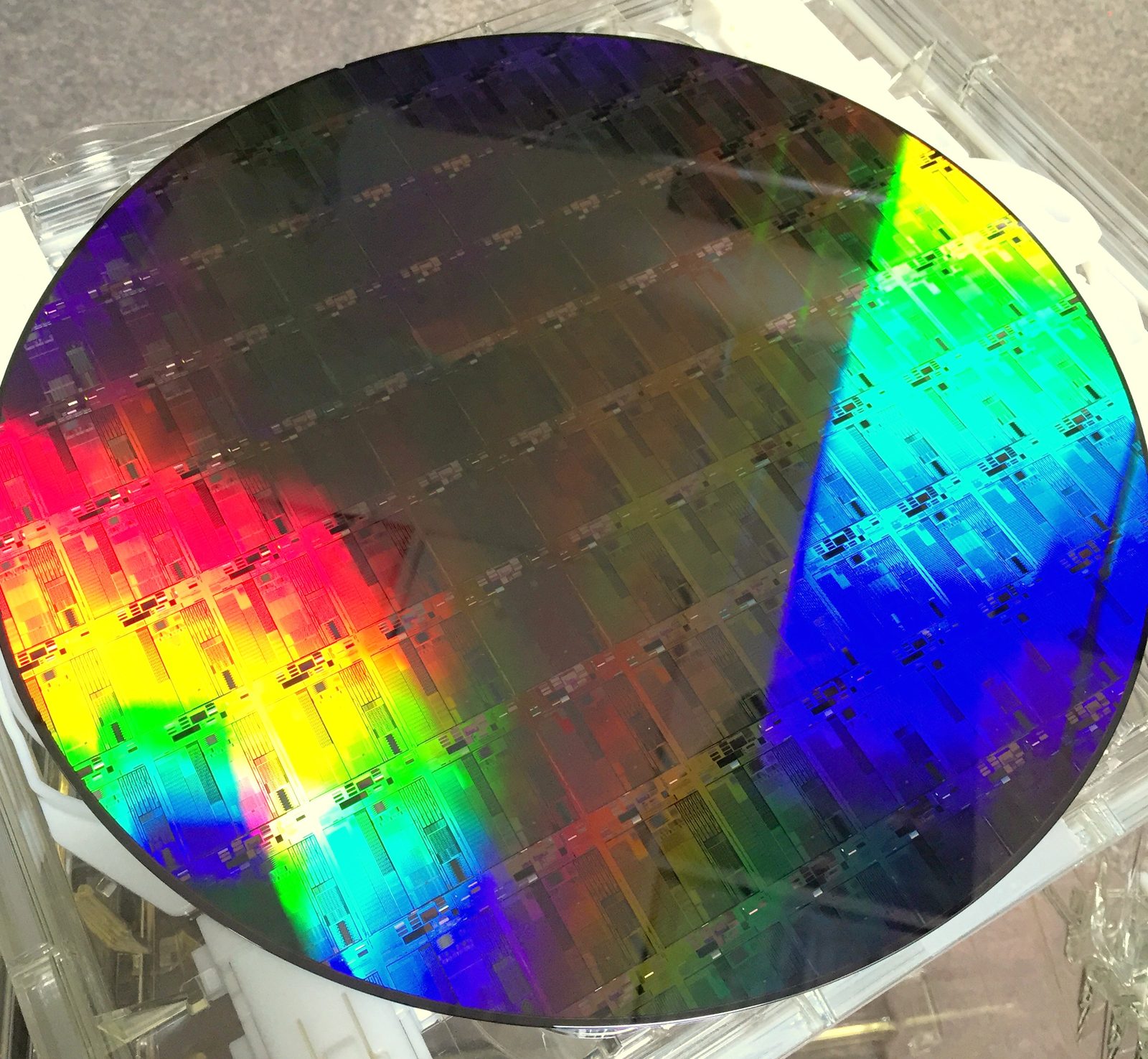 A 300-millimetre silicon wafer patterned with hundreds of identical dies, held under cleanroom light.