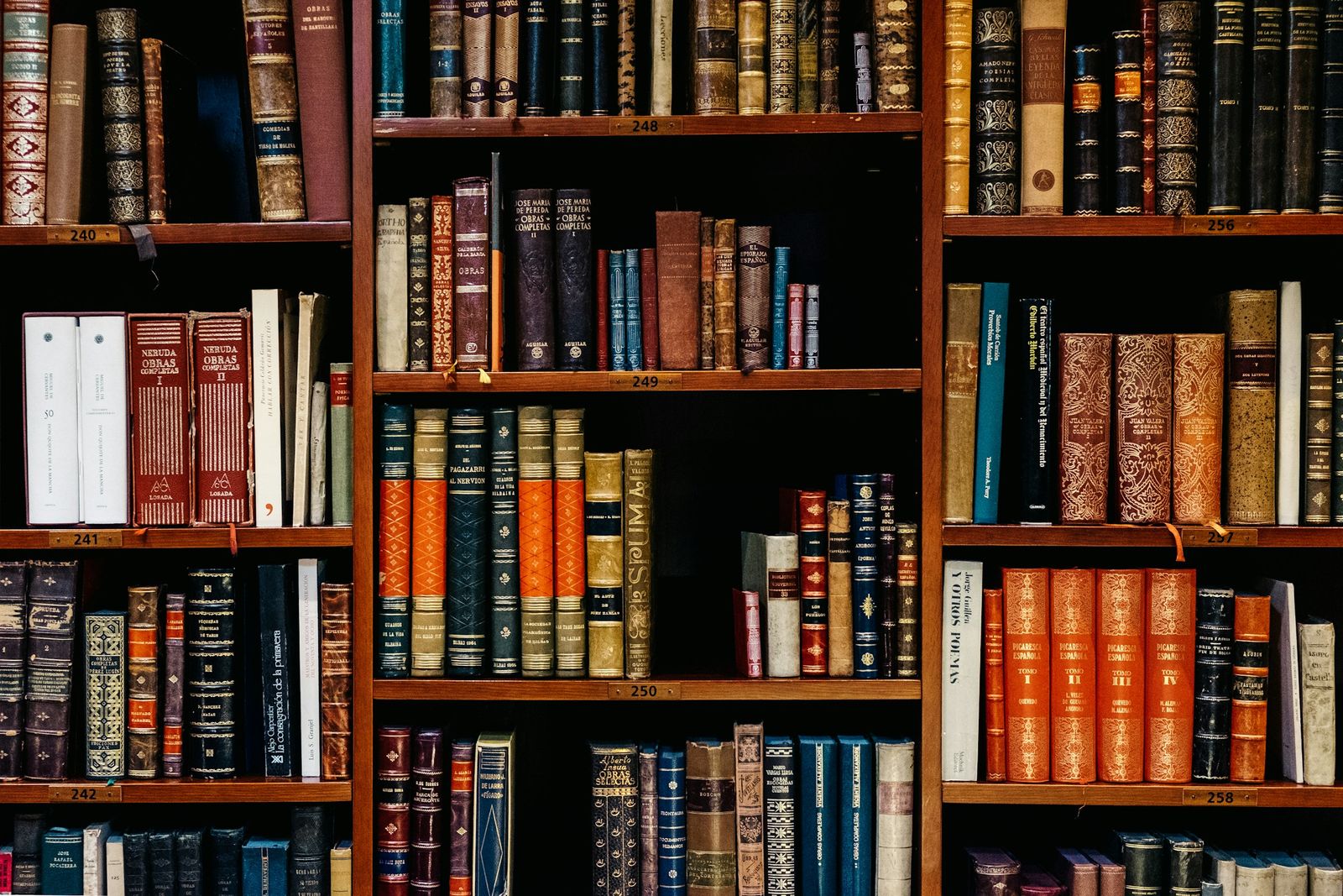 The pirated library inside the model