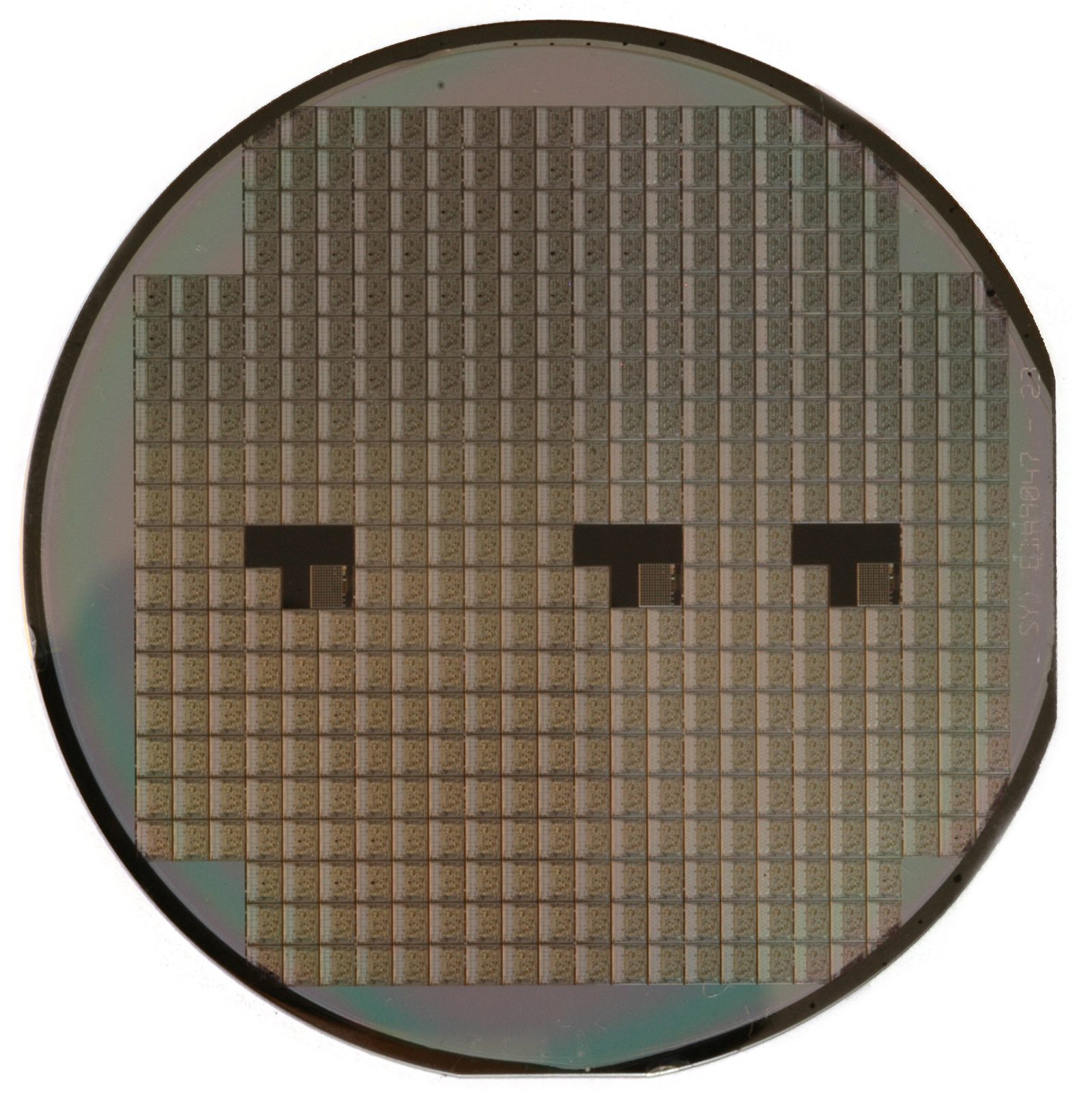 A polished silicon wafer patterned with hundreds of identical dies, held to the light.